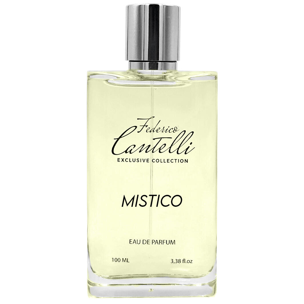 FEDERICO CANTELLI "MISTICO" - immagine 2