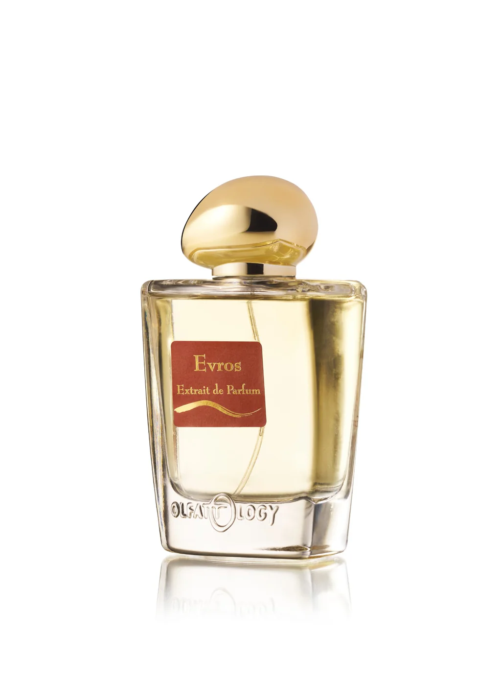OLFATTOLOGY - EVROS - immagine 2